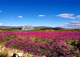 大理伊美西海庄园