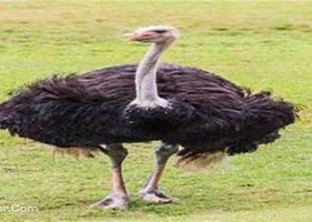 晋江道田休闲生态园