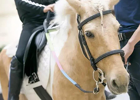 润旺马术俱乐部