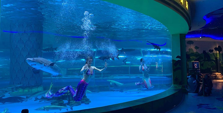 原始森林公园湄公河水族馆