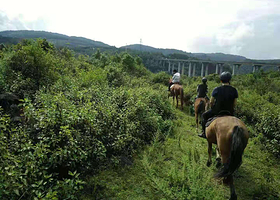 腾冲和顺忆茉云腾马会