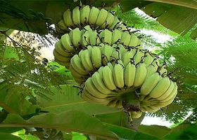 重庆当地吃喝玩乐抢购