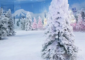 艾瑞克冰雪仙境乐园