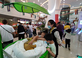 穿越侏罗纪恐龙展（南昌站）