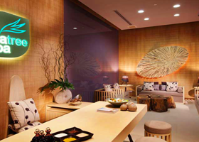 TEA TREE 茶树水疗