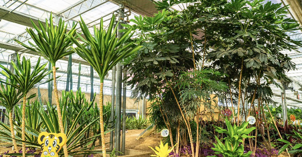 汤泉谷生态园门票成人票