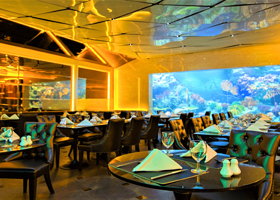 水族馆餐厅-COPPER Aquarium