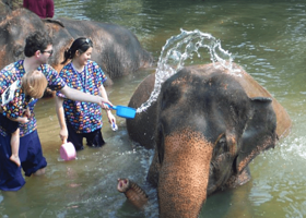 康达大象保护营