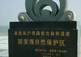 深沪湾海底古森林自然保护区