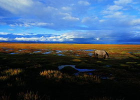 贡赛尔喀木道湿地景区