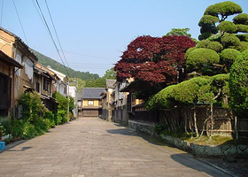 卧龙山庄度假村