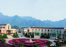 桐庐蜂之语蜜蜂王国