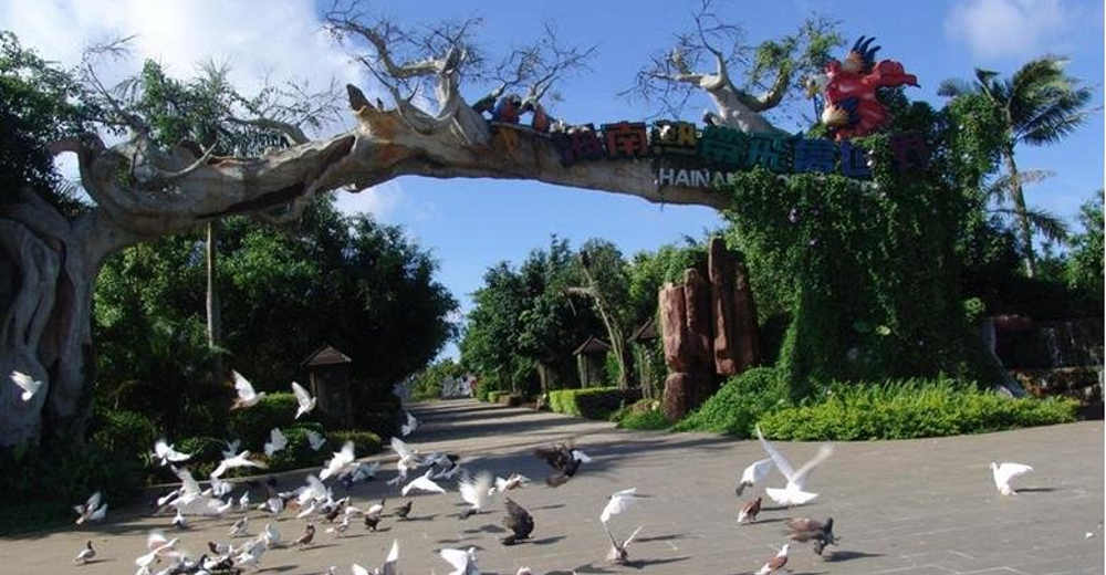 定安热带飞禽世界优待票针对儿童6069岁老人