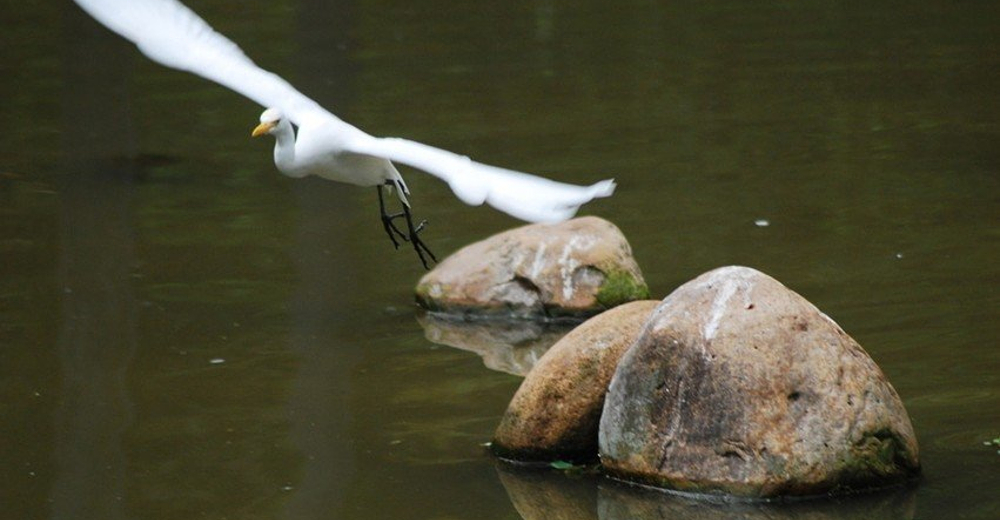 【电子票 免预约 】福鼎小白鹭海滨度假村儿童票