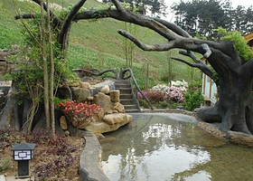 天邑森林温泉旅游区