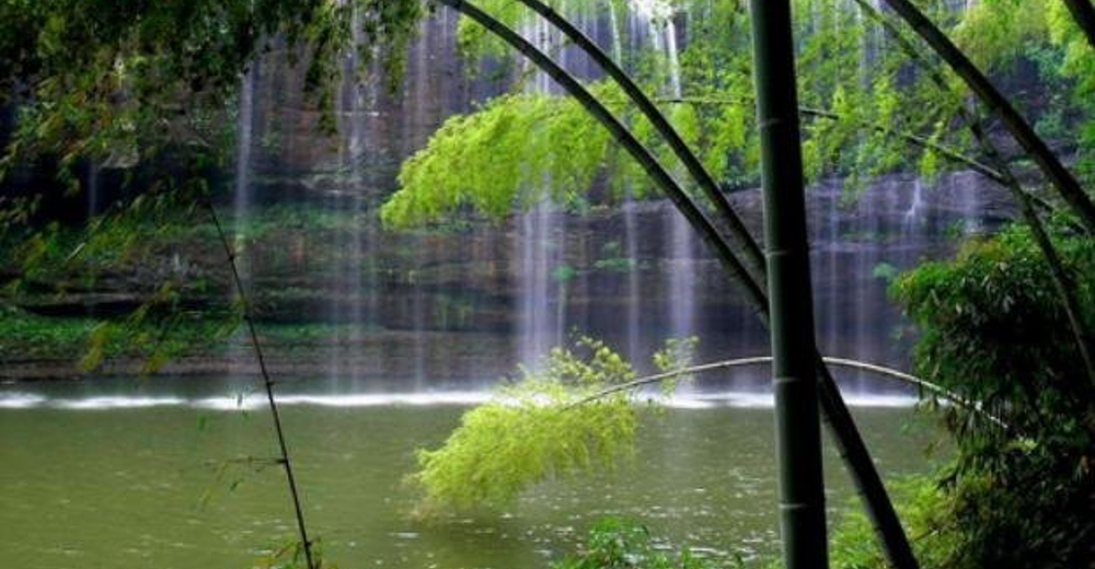 宜昌三峡竹海生态风景区(成人票)