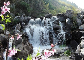 桃花源生态旅游区