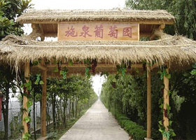 上海施泉葡萄园