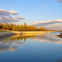 曹妃甸湿地景区