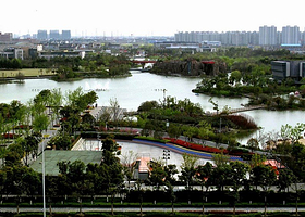 常州市青枫公园