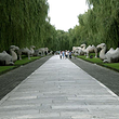 北京神道博物馆