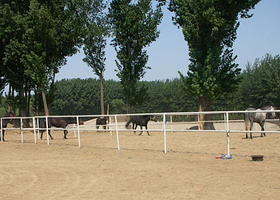 阳光山谷马术俱乐部