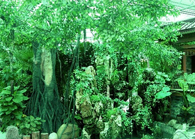 阿勒泰市金山森林公园