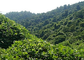 金三川民俗风情游览区