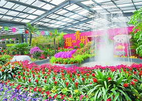 青州花好月圆景区
