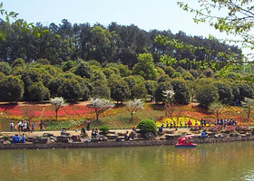 淮上明珠旅游区茨淮知青园