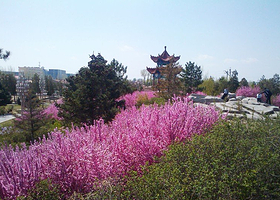 花山镇人民广场