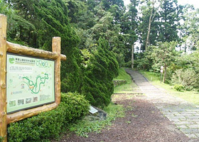 东眼山森林游乐区