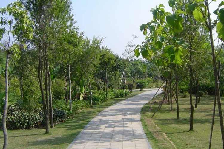 海滨生态公园旅游