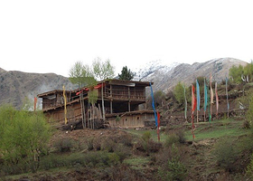 玛柯河原始森林生态旅游区