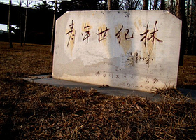 青年世纪林