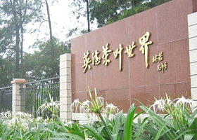 清远英德茶叶世界