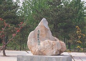 三八国际友谊林