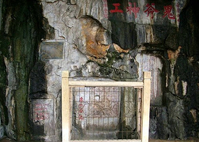 神农架动植物标本馆