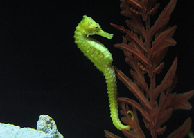 山海关海洋水族馆