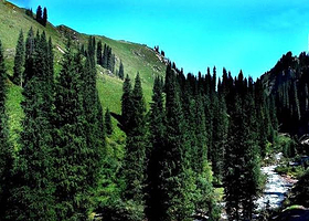 科桑溶洞国家森林公园