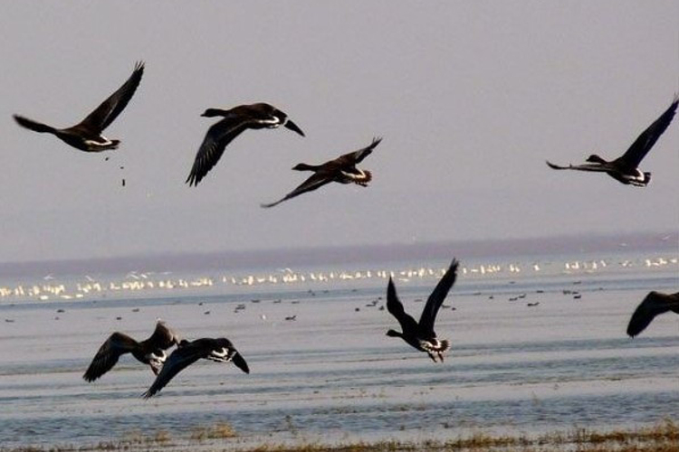 百鸟乐园景区旅游