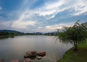 九龙湾乡村家园