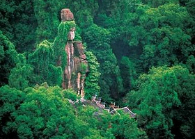 杨柳青森林公园