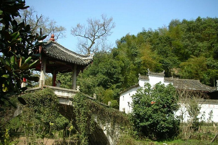 南方红豆杉旅游