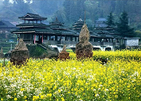 柳州大桥农业旅游区