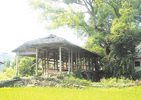 龙泉农业生态旅游区