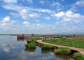 科尔沁珍禽自然保护区