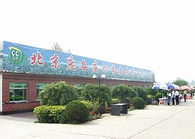 庞各庄四季春农艺园