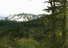 苍山自然保护区