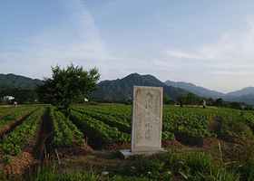 林节战国古文化遗址